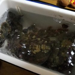 ライトワインド