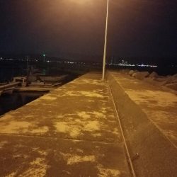 サビキ釣り ~初めてクエを釣る~