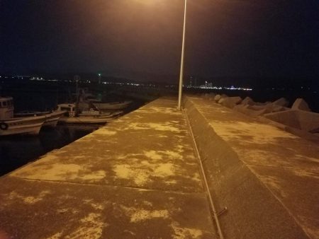 サビキ釣り ~初めてクエを釣る~