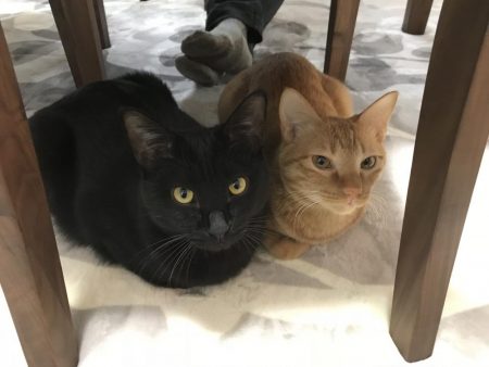 90分限定メバリング