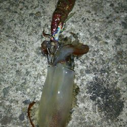 メーカーさんのイベント帰りに早速♪