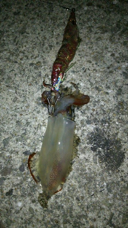 メーカーさんのイベント帰りに早速♪