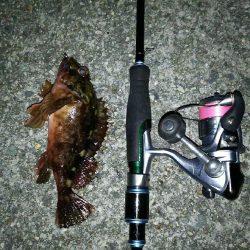 バーチカルコンタクトメバリング