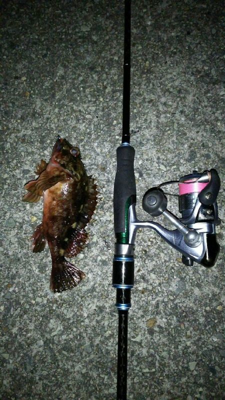 バーチカルコンタクトメバリング