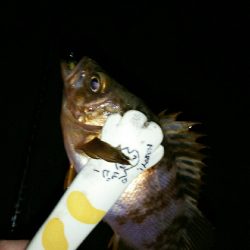 洲本から北上しながらランガン