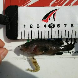 予報以上の爆風…