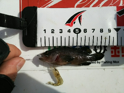 予報以上の爆風…