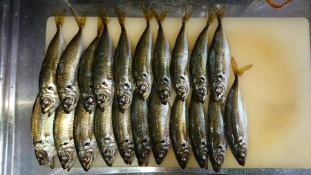 アジフライ食べたい