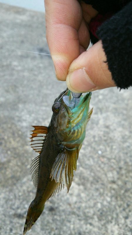 デイロックゲーム