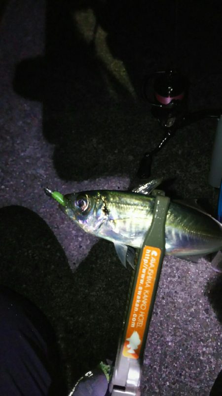 釣り納め淡路島