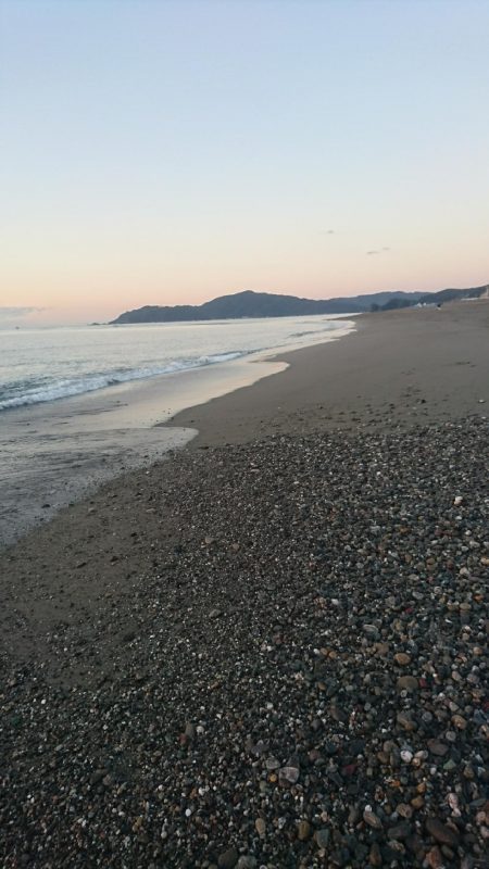 仁淀川河口サーフ ヒラメ