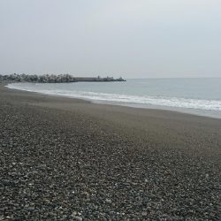 ヒラスズキ 釣り納め