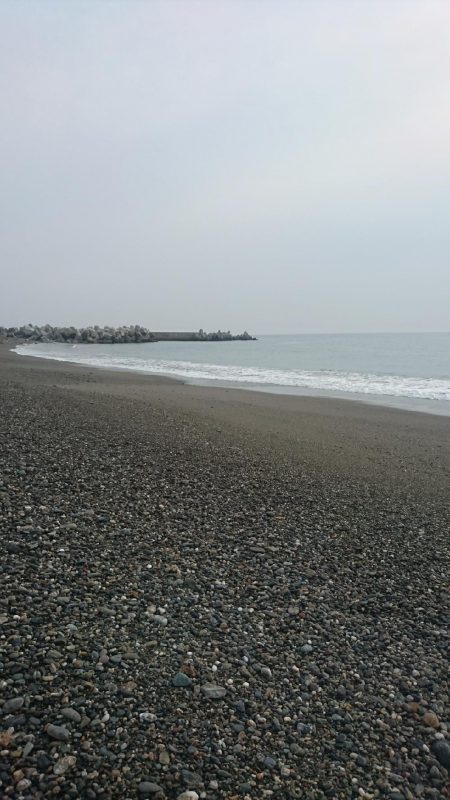 ヒラスズキ 釣り納め