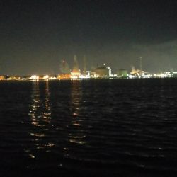 今日はツいてませんか？