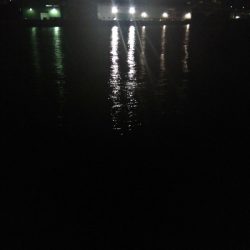 ナイトゲーム　タチウオ