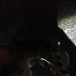 爆風ライトゲーム