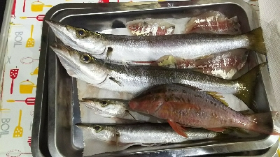 デカカマス！！