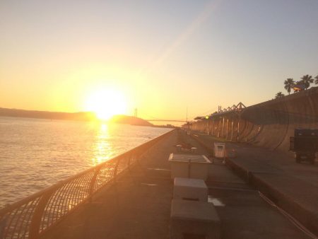 落第カゴ師でも釣れる平磯