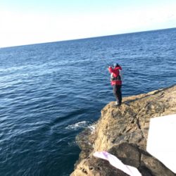 五島 福江島 磯グレ