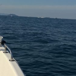 マイボート ジギング