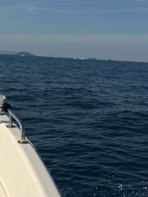 マイボート ジギング