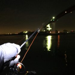 デカはぜ入れ食い！