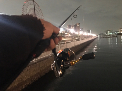 メバル、セイゴ！