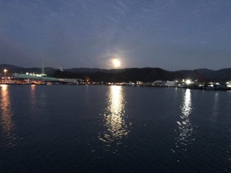 釣れたものの…