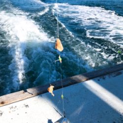 加太の三邦丸でアジとカワハギ