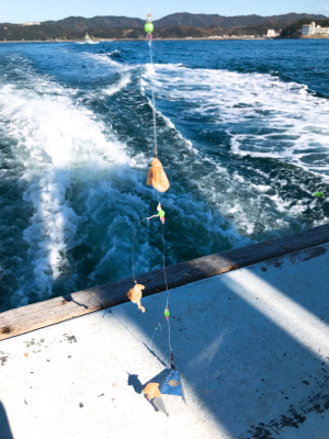 加太の三邦丸でアジとカワハギ