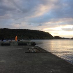 沖堤防で落とし込み釣り