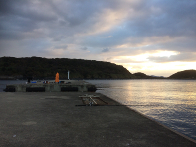 沖堤防で落とし込み釣り