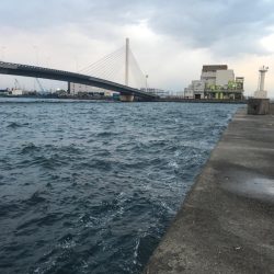 いつもの仕事帰り釣行