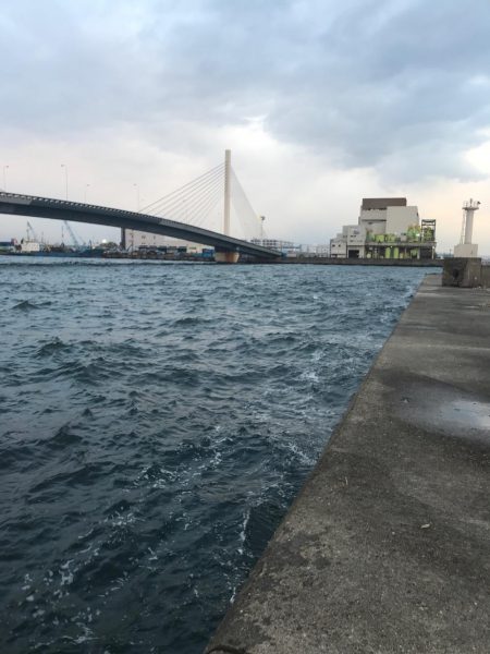 いつもの仕事帰り釣行