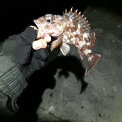 ライトゲーム五目達成