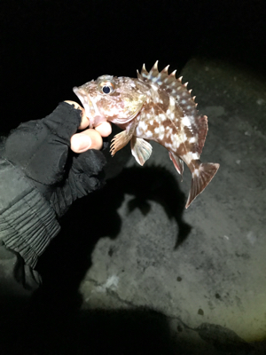 ライトゲーム五目達成