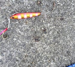 2017ラストに大当たり！