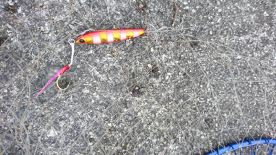 2017ラストに大当たり！