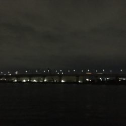 タチウオ厳しい