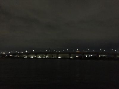 タチウオ厳しい