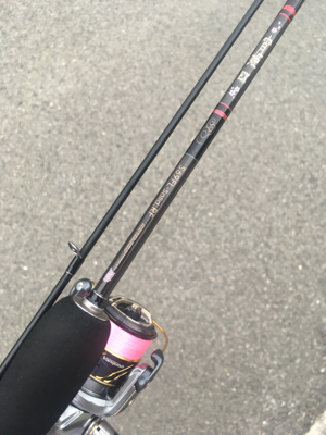 やっと風がおさまりました。