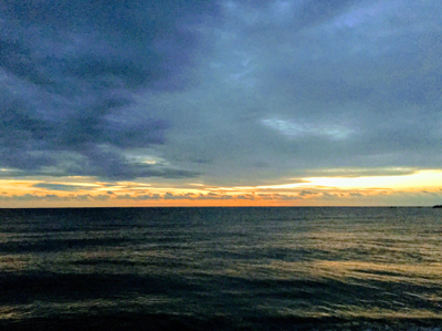 大里松原海岸 初モンゴウイカ 500G