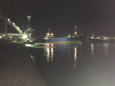 メバリングでしたが…