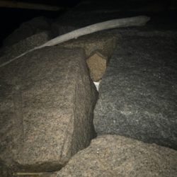 寒さに負けず！