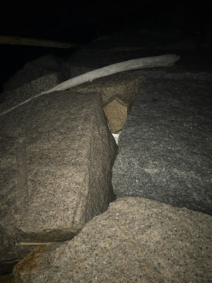 寒さに負けず！