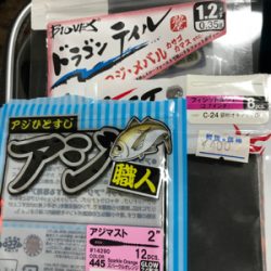 旦那の新しい竿振りに