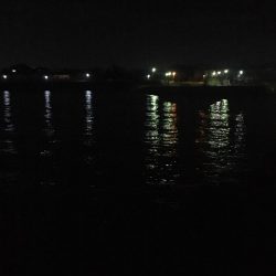 浮き釣りでメバル