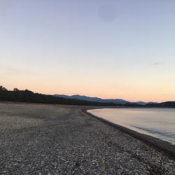 大里松原海岸 モンゴウイカ 750g