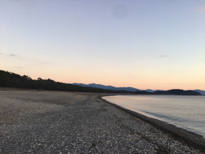 大里松原海岸 モンゴウイカ 750g