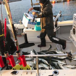 ルアーフィッシング エビス 日本海ジギング